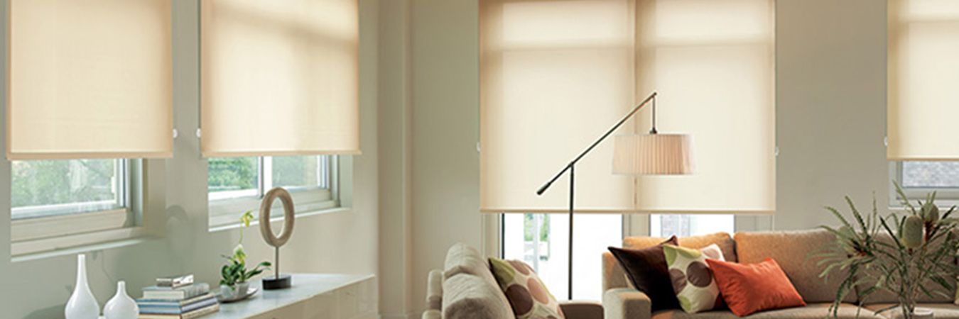 Roller shades in living room.